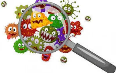 Бактерии карикатур. Микробиологические бактерии инфекции вируса и инфекции  установили плоский рисунок. Взгляд через микроскоп Иллюстрация вектора -  иллюстрации насчитывающей потеха, тварь: 183501169