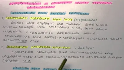 Артерии верхней конечности. Плечевая артерия. Анатомия. Лекция для врачей