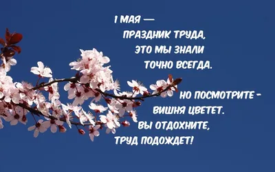 Картинки на 1 мая 2023: красивые и прикольные открытки с надписями к  Празднику Весны и Труда - МК Новосибирск