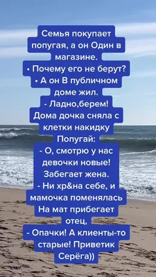 Юмор На Весь день