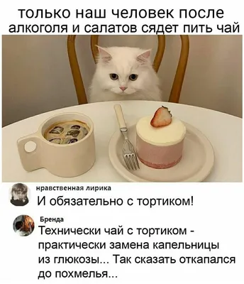 Как нейтрализовать алкоголь и похмелье (не рассолом единым 😉) 🥂 После  веселой ночи, когда мы наслаждались каждым моментом и отведали… | Instagram