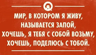 Новый Год, Похмелье: поздравления, приколы, истории, примеры подарков, фото  и видео — Горячее | Пикабу