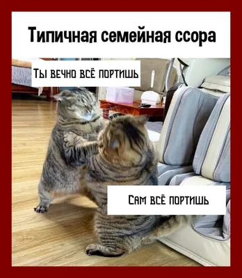 Наклейки стикеры животные мемы Коти, Коты, Кошки, Cats А4 Geek On 64473054  купить за 189 ₽ в интернет-магазине Wildberries