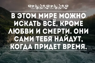 Смешные фразы и афоризмы со смыслом: 50+ высказываний