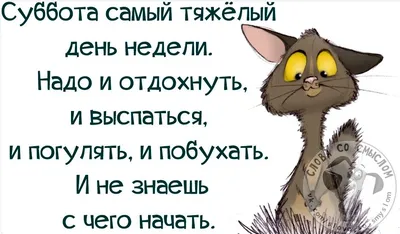 Медицинская справка для замены прав со скидкой 20% - Акция \"Счастливые  выходные\" - СПРАВКИ.ру