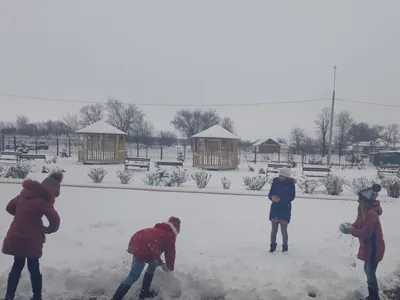 Наши веселые зимние прогулки