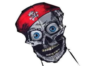 Шеврон PIRATE SKULL (Весёлый роджер) (ID#1660221994), цена: 85.50 ₴, купить  на Prom.ua