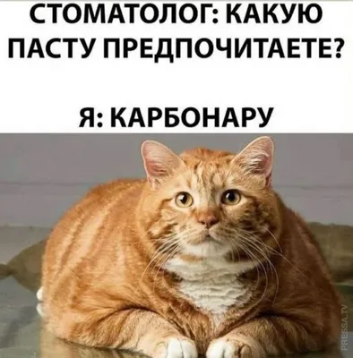 Купить набор для творчества Рыжий Кот Веселые картинки. Пэчворк. Котёнок,  цены на Мегамаркет | Артикул: 100029265598