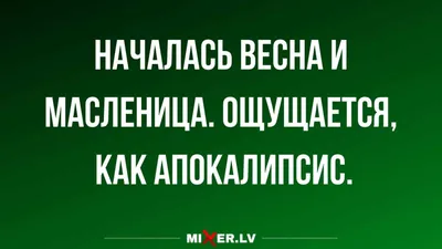 весна :: котэ (прикольные картинки с кошками) / смешные картинки и другие  приколы: комиксы, гиф анимация, видео, лучший интеллектуальный юмор.