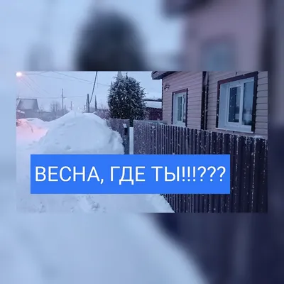 Весна, ты вообще в курсе?.. | Пикабу