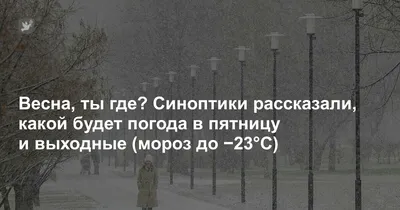 Весна, ты где?\" или как Дар зиму провожал | Фонд помощи шнауцерам | Дзен