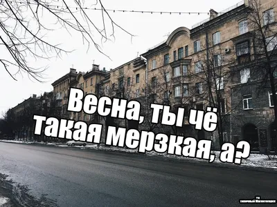 🎁 Купить Ты моя весна за 550 руб. - Надписи, Буквы из дерева