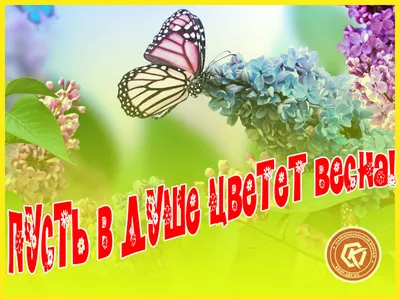 Весна в душе - фото и картинки: 61 штук