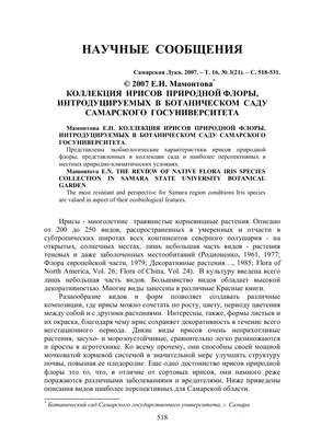 Выращивание ирисов: посадка и уход за ирисами - АгроМаркет24