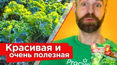 Полезные советы | Капуста, Советы, Полезные советы