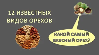 Самые известные виды орехов. Как орехи влияют на ваше здоровье? | Только  сенсации | Дзен