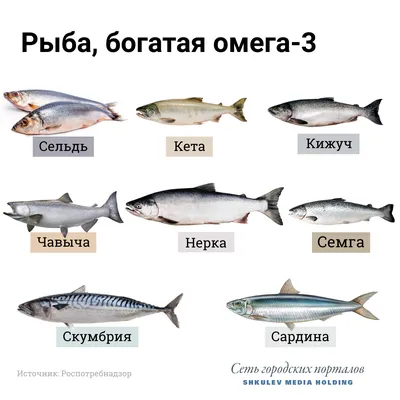 Список вредных видов рыбы, которую лучше не есть - 11 апреля 2021 -  ФОНТАНКА.ру