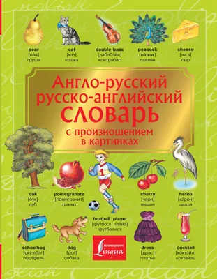 Виды спорта: 12 развивающих карточек с красочными картинками и загадками  для занятий с детьми – купить по цене: 99 руб. в интернет-магазине УчМаг