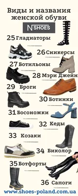 Виды женской обуви названия с инфографикой N-SHOES