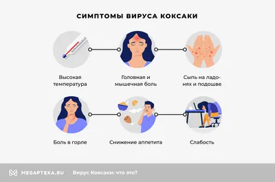 Вирус Коксаки: что нужно знать родителям | 1 Социальная Аптека