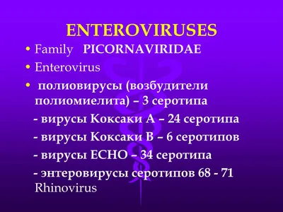 Вспышка вируса Коксаки в Украине: как распознать болезнь, чем опасна,  симптомы, осложнения, лечение Новости Днепра | Дніпровська порадниця