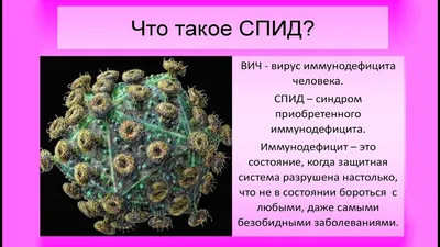 Всё о ВИЧ/СПИД — ГБУЗ ТО «Центр профилактики и борьбы со СПИД»