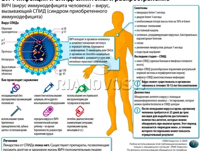 Вирус ВИЧ под микроскопом | Пикабу