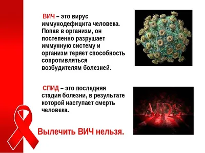 Всемирный день борьбы со СПИДом | Детская Городская Больница №22