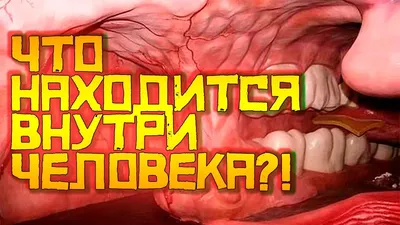 А вы знаете, что можно узнать о себе по лицу... ?Оказывается очень много… -  Лаборатория Красоты и Здоровья