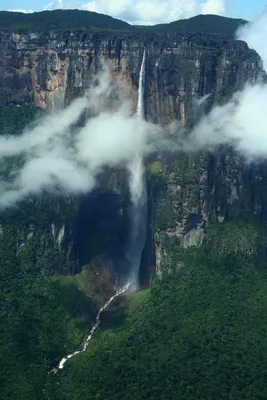 Водопад Анхель (Angel Falls)