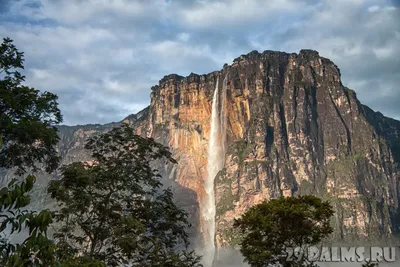 Водопад Анхель (Angel Falls)