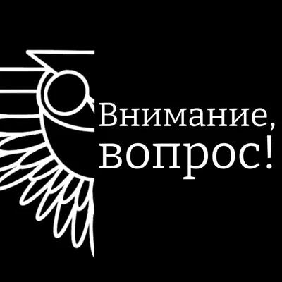 14 вопросов из игры «Что? Где? Когда?», ответы на которые лежали на  поверхности. Но знатоки не справились, а вот вы сможете / AdMe