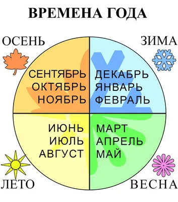 ВРЕМЕНА ГОДА и МЕСЯЦЫ / Учим МЕСЯЦЫ года по порядку / Развивающие мультики  для детей - YouTube