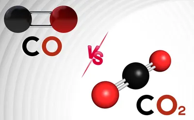 Phagocytosis vs Pinocytosis: Definition and Function | Technology Networks