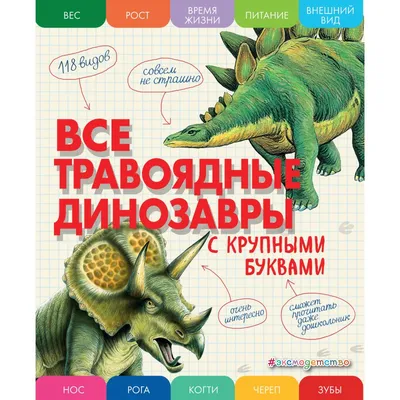 В музее изобразительных искусств готовится к открытию выставка про  динозавров | Официальный сайт органов местного самоуправления г.  Комсомольска-на-Амуре