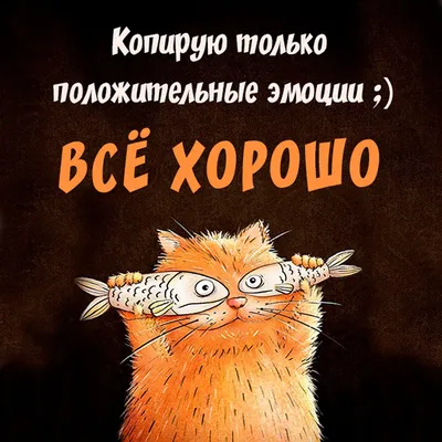 Ресторан Всё Хорошо! (VSЁХОРОШО!) на Бухарестской (м. Международная): меню  и цены, отзывы, адрес и фото - официальная страница на сайте - ТоМесто  Санкт-Петербург