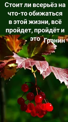 Кольцо тройное из чернёного серебра - Всё проходит, и это тоже пройдёт: 925  пробы К-050-1 — купить в ювелирном интернет-магазине «Серебро России»