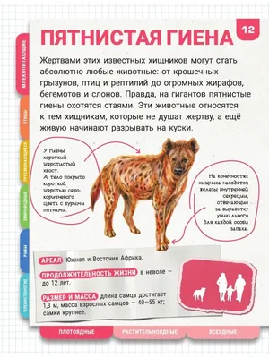 Хищные и всеядные животные в Центральной Азии» — создано в Шедевруме