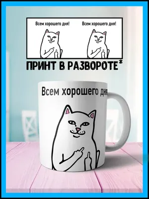 Доброе утро! Всем хорошего дня и отличного настроения! - Лента новостей  Донецка