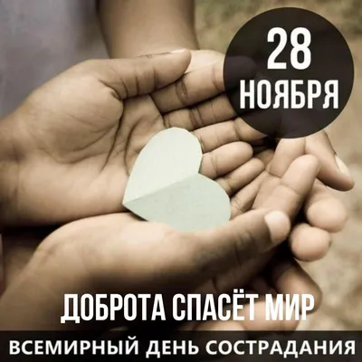 28 ноября - Всемирный день сострадания, который также известен, как Международный  день милосердия. Инициаторы проведения этого праздника… | Instagram