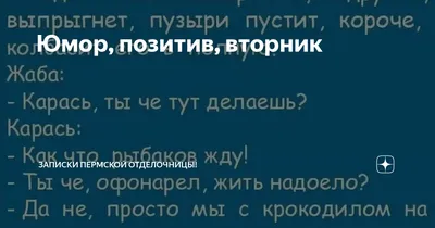 Юмор, позитив, вторник | Записки пермской отделочницы! | Дзен