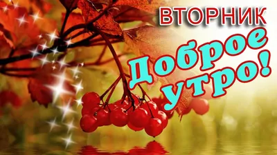 ПОЗИТИВ ВТОРНИКА. И ТОЧКА!