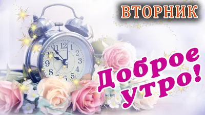 Отличного вторника (В статье много фото) - treepics.ru