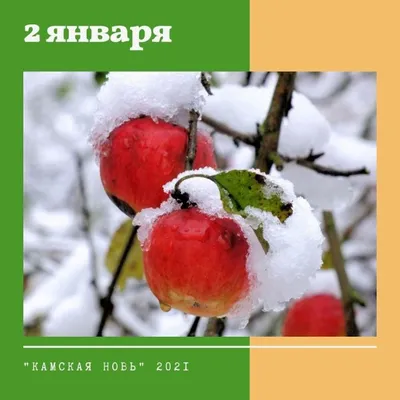 Народные приметы 2 января | 02.01.2021 | Лаишево - БезФормата