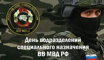 Дембельская форма ВВ МВД, дембельская форма ВВ МВД РФ, дембелька ВВ МВД,  дембельская форма Внутренних войск, сколько стоит Дембельская форма Внутренние  войска