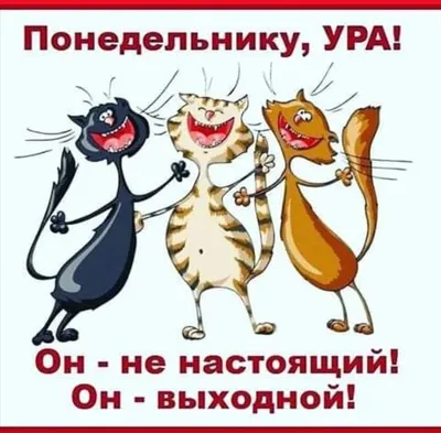 А вы продуктивно проводите выходные? 😊 #юмор@slife16 | Суши Лайф | Челны:  Роллы Пицца Доставка | ВКонтакте