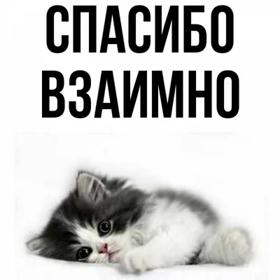 не взаимно💔#невзаимно | TikTok