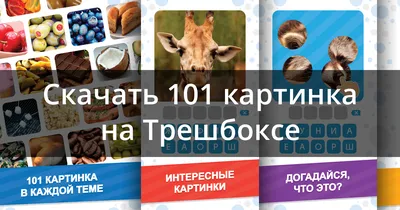 Скачать 101 картинка фото викторина 2.4.10 для Android