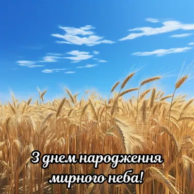 Привітання з днем народження чоловіку - вірші, картинки, листівки — УНІАН