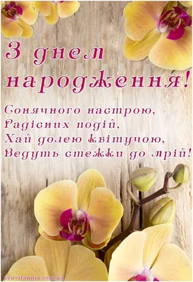 Привітання з днем народження жінкам - Листівки з днем народження - Листівки  - Каталог привітань | Happy birthday to you, Greeting cards quotes, Happy  anniversary